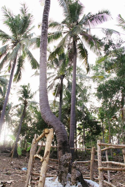 Nyuh Bengkok Tree House Hotell Batununggul Eksteriør bilde