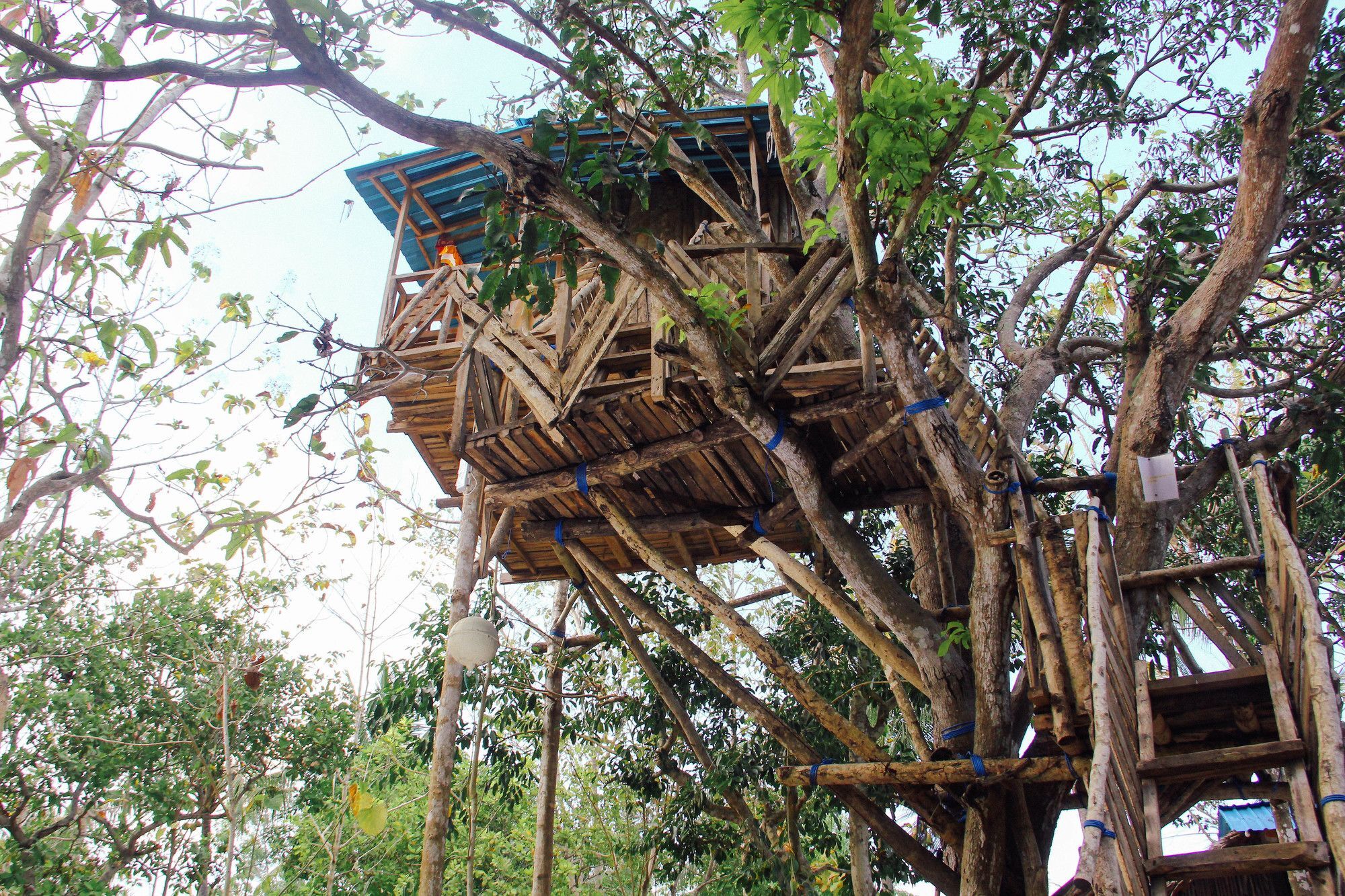 Nyuh Bengkok Tree House Hotell Batununggul Eksteriør bilde